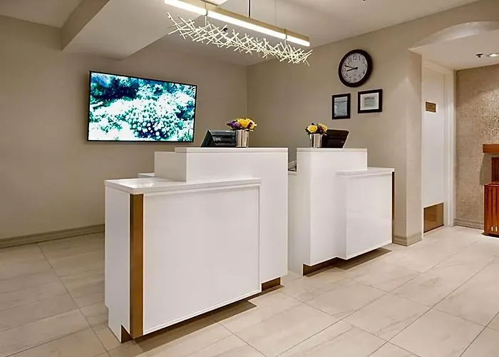 Hotel Intercontinental Magnificent Mile By Ihg